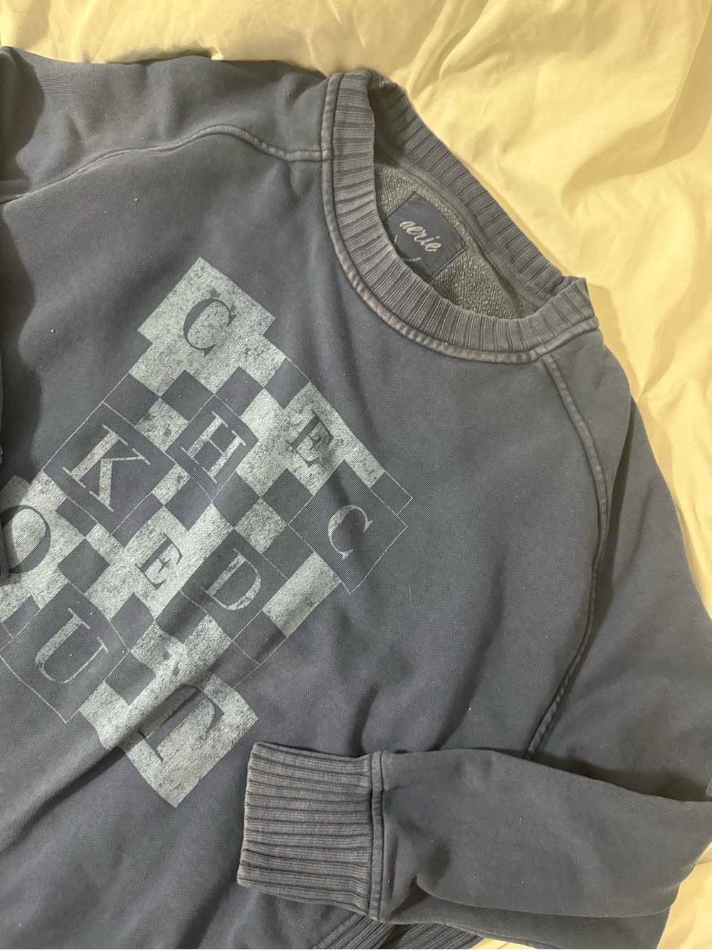 Aerie Navy Graphic Crewneck Sweater